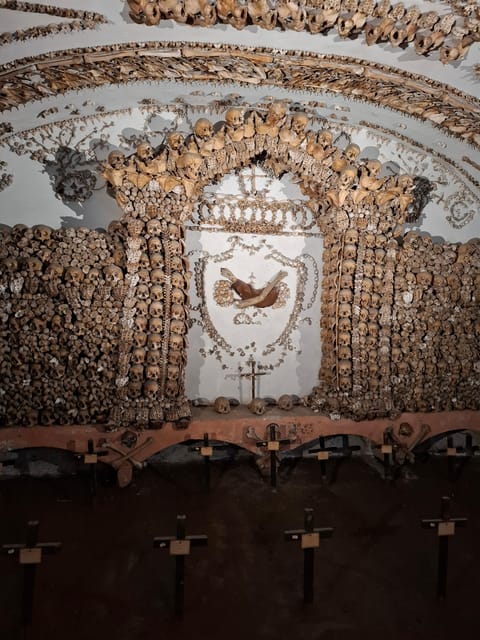 Bone Crypts & S. Clemente ENGLISH tour - tickets included - Walking Past the Colosseum and Gladiator Training Grounds