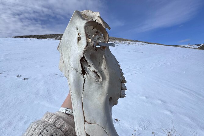 Bone Hunting in Wyoming - The Role of the Expert Guide and Social Media