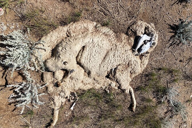 Bone Hunting in Wyoming - Physical Requirements and Accessibility