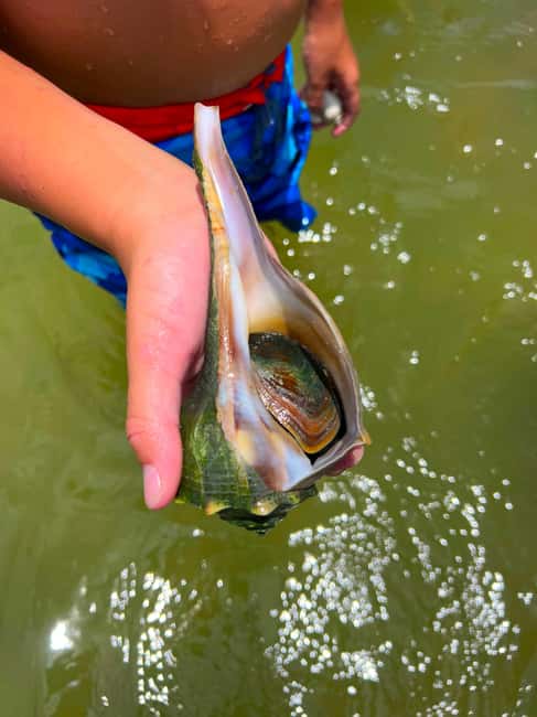 Bonita Springs Clear Kayak Tour with Dolphins & Manatees - Safety and Comfort with Top-Quality Equipment