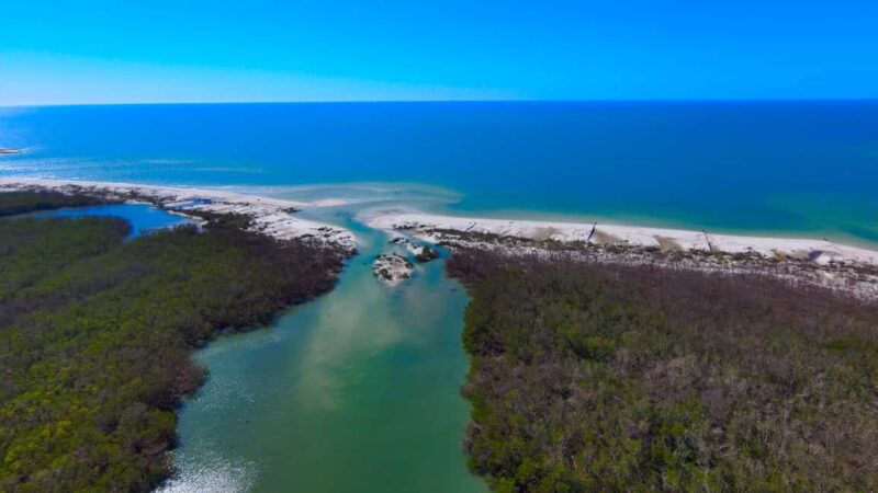 Bonita Springs Clear Kayak Tour with Dolphins & Manatees - Who Should Consider This Kayak Tour