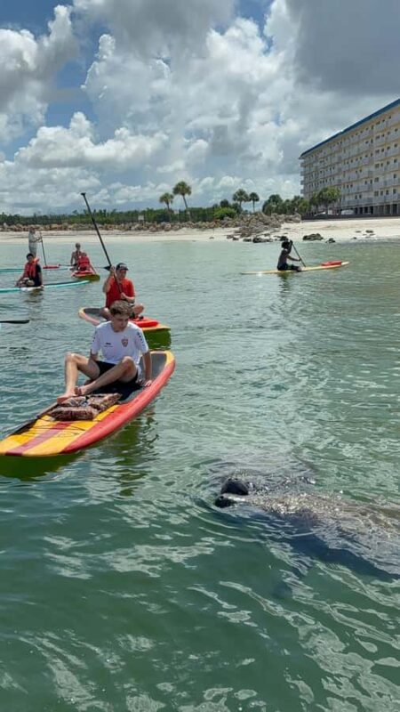 Bonita Springs Dolphin, Manatee & Sea Turtle Adventure Tour! - Realistic Expectations and Limitations