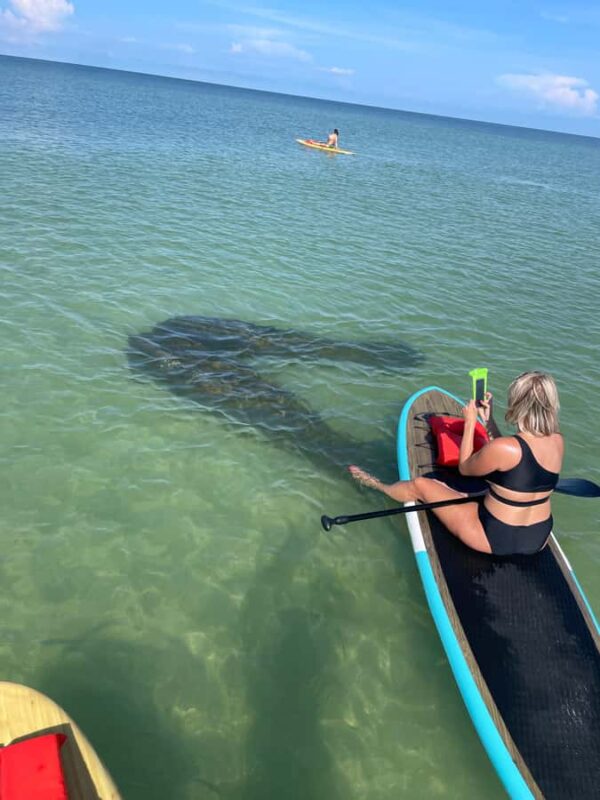 Bonita Springs Dolphin, Manatee & Sea Turtle Adventure Tour! - Frequently Asked Questions