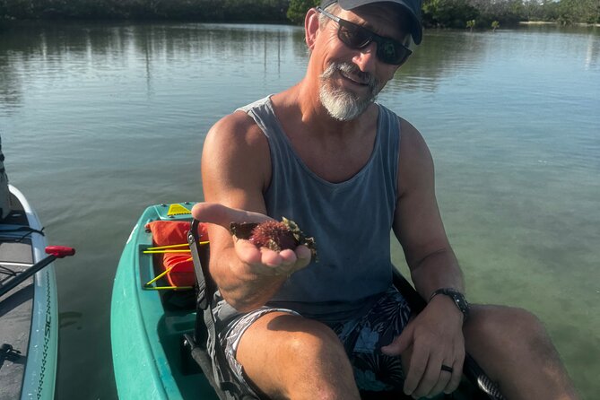 Bonita Springs Eco Kayak Tour  Best Gear, Premium&Clear Kayaks - Starting Point and Logistics at Bonita Springs