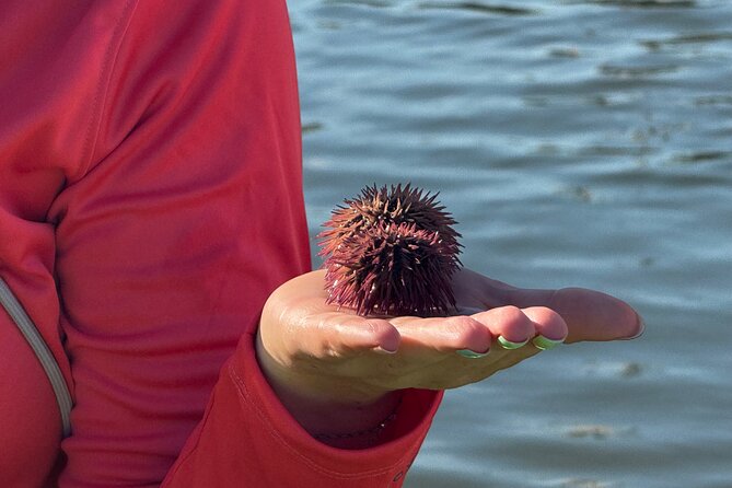 Bonita Springs Eco Kayak Tour  Best Gear, Premium&Clear Kayaks - Guide Expertise and Customer Service