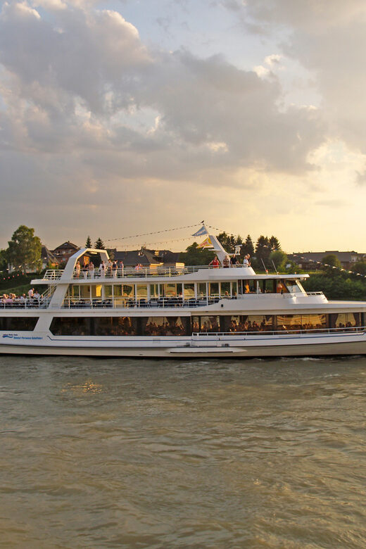 Bonn: 1.5-Hour River Cruise on the Rhine - Comparing This Cruise to Similar Experiences