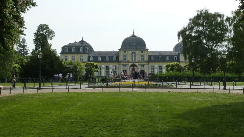 Bonn: Private Guided Walking Tour - Beethoven’s Hometown: Birthplace, House, and Monument