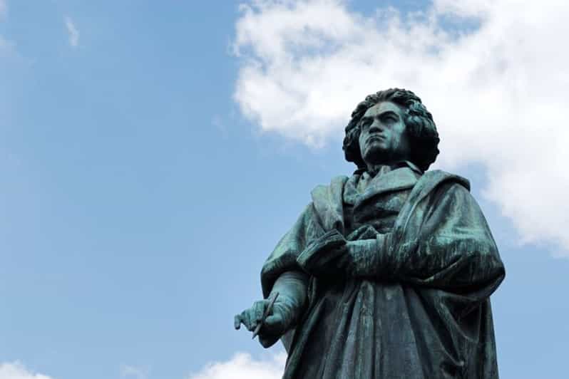 Bonn : Private Walking Tour With A Guide ( Private Tour ) - The Convenience of Hotel Pickup and Custom Scheduling