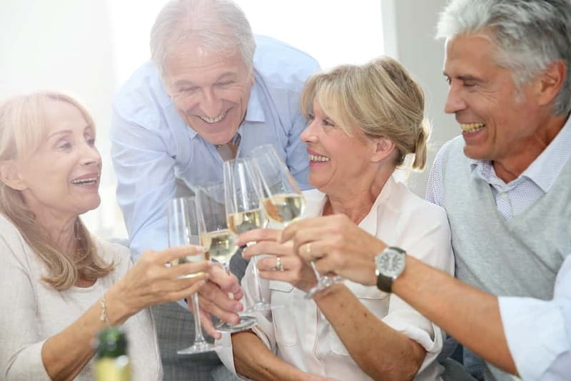 Bonn: Seniors' cruise with live music on the MS Moby Dick - Key Points