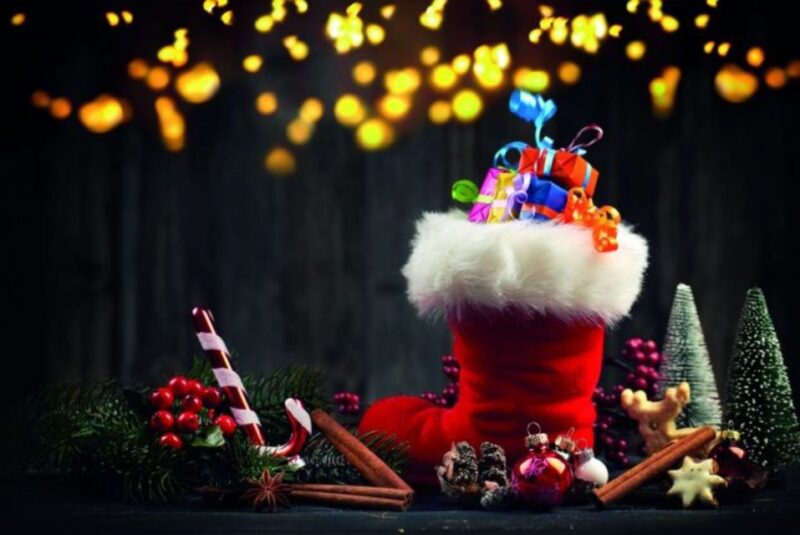 Bonn: Winter Christmas tour by boat - Scenic Views of the Siebengebirge and Bonn Skyline