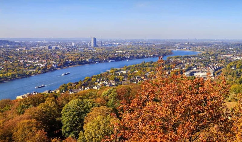 Bonn: Winter tour by boat with mulled wine - The Experience of Christmas Music and Decorations