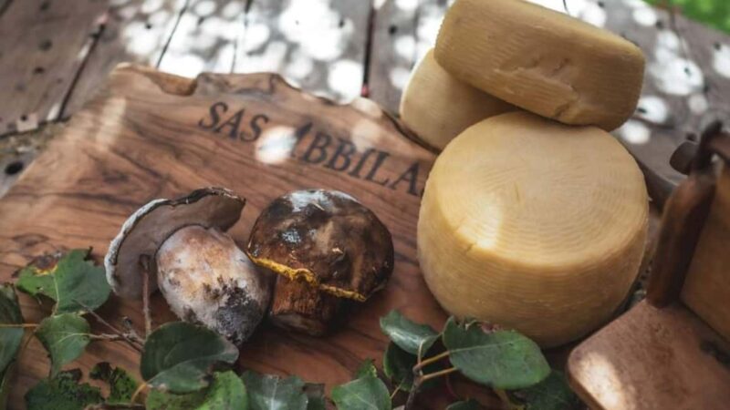 Bonorva: discover a farm with traditional lunch - Key Points