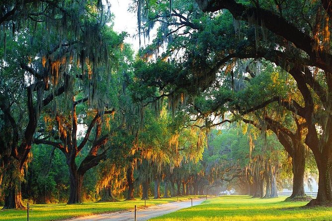 Boone Hall Plantation All-Access Admission Ticket - The History and Setting of Boone Hall Plantation