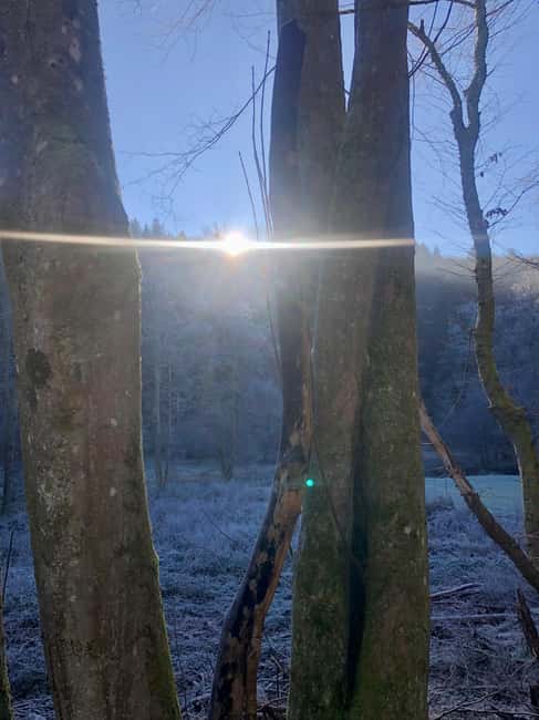 Boppard: Winter hike with punch and gingerbread - Key Points