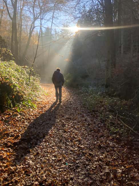 Boppard: Winter hike with punch and gingerbread - Enjoying the Winter Forest and Scenic Views