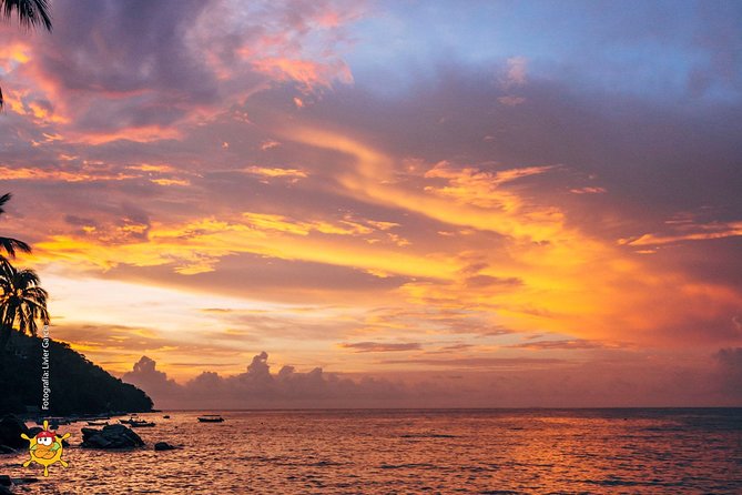 Bora Bora Sail to Yelapa - Water Activities: Snorkeling, Kayaking & Paddleboarding