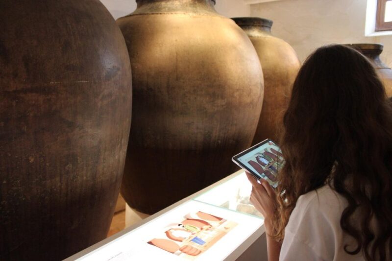 Borba: Interactive Amphora Wine Tour and Tasting - Key Points