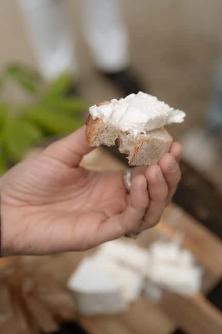 Bordeau: Chartrons Morning Food Tour - A Two-Course Lunch at a Local Bistro