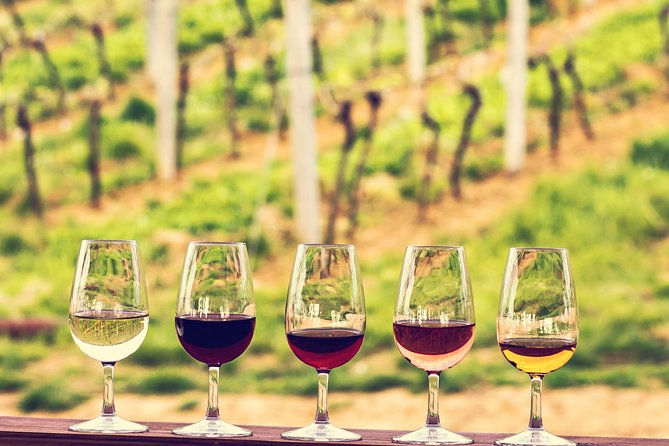 Bordeaux Cruise Port Shore Excursion: Full-Day Private Medoc Wine Tour - Key Points