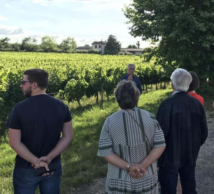 Bordeaux: Explore an Organic Family Vineyard with Tasting - Bordeaux: Explore an Organic Family Vineyard with Tasting