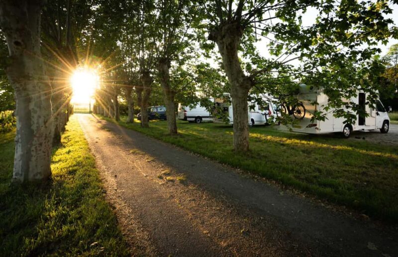 Bordeaux: Explore an Organic Family Vineyard with Tasting - Tasting a Full Range of Bordeaux Wines