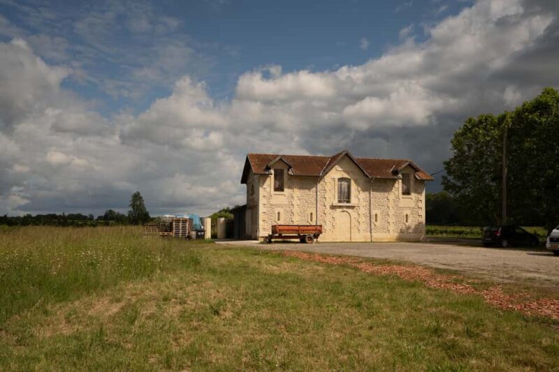 Bordeaux: Explore an Organic Family Vineyard with Tasting - Logistics: Small Group and Accessibility