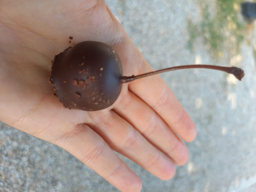 Bordeaux food tour: sweet specialities & highlights - Visiting the Grosse Cloche and the Monument to the Girondins