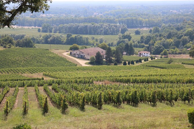 Bordeaux : Full Day Wine Tastings & Gourmet Lunch - The Experience with Guides and Reviews