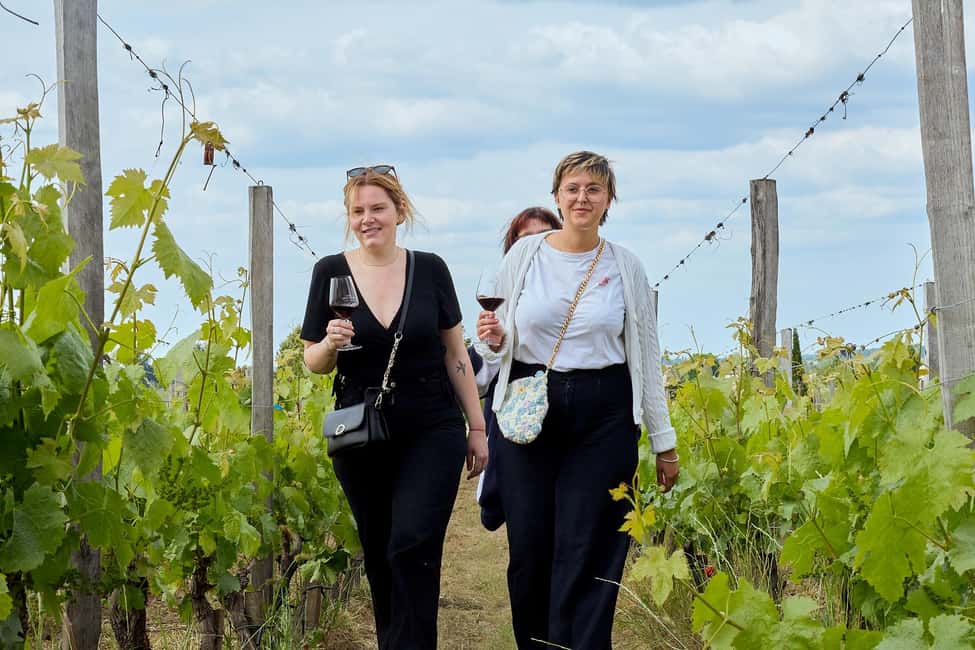 Bordeaux: Half-Day Margaux Tour with Wine Tastings - Whats Included and What to Keep in Mind