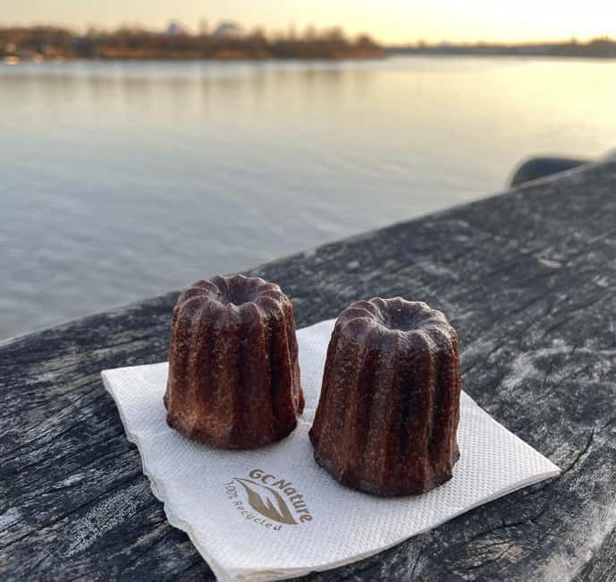 Bordeaux: Historical Bike Tour of the Three Bridges - Who Will Enjoy This Bordeaux Bike Tour?