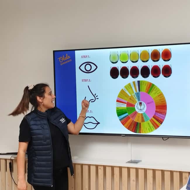 Bordeaux: Introduction to Bordeaux Wines Tasting Workshop - The Wines and Food Pairings