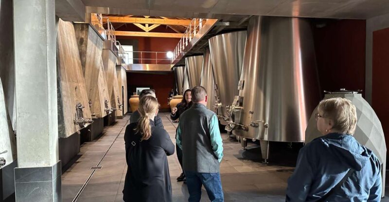 Bordeaux: Medoc tour in a small group (Luxury Mercedes EQV) - Unique Focus on Bordeaux’s Left Bank and the 1855 Classification