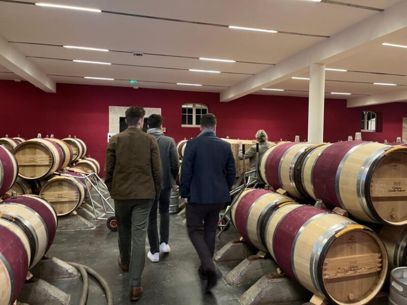 Bordeaux: Medoc tour in a small group (Luxury Mercedes EQV) - Visiting Château Margaux: Guided Tour and Tasting