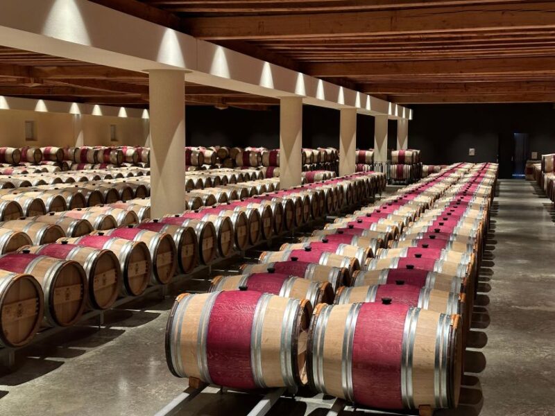 Bordeaux: Medoc tour in a small group (Luxury Mercedes EQV) - Indulging in a French Lunch at a Local Restaurant