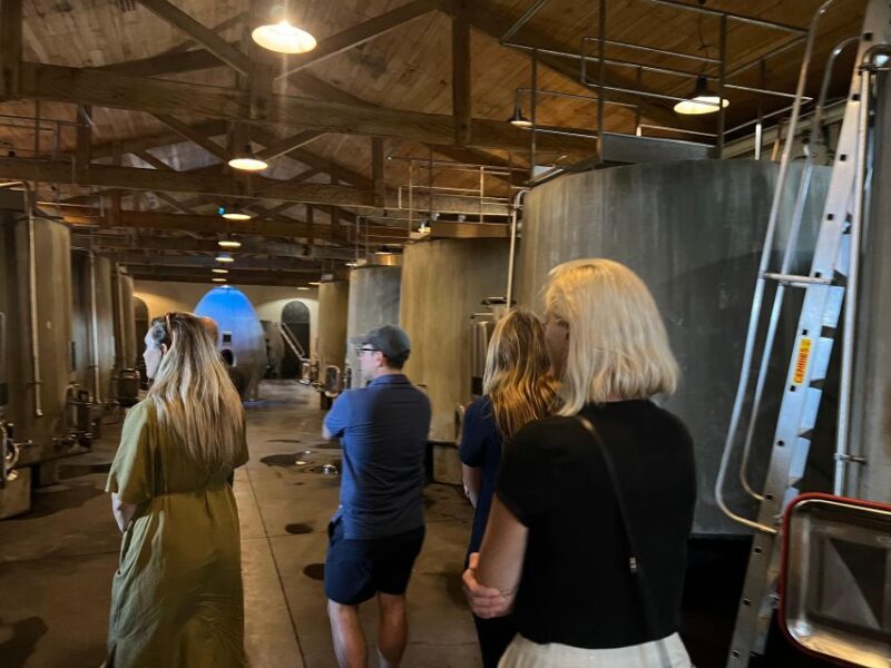 Bordeaux: Medoc tour in a small group (Luxury Mercedes EQV) - Final Stop at Saint-Estèphe: Photo and Scenic Drive