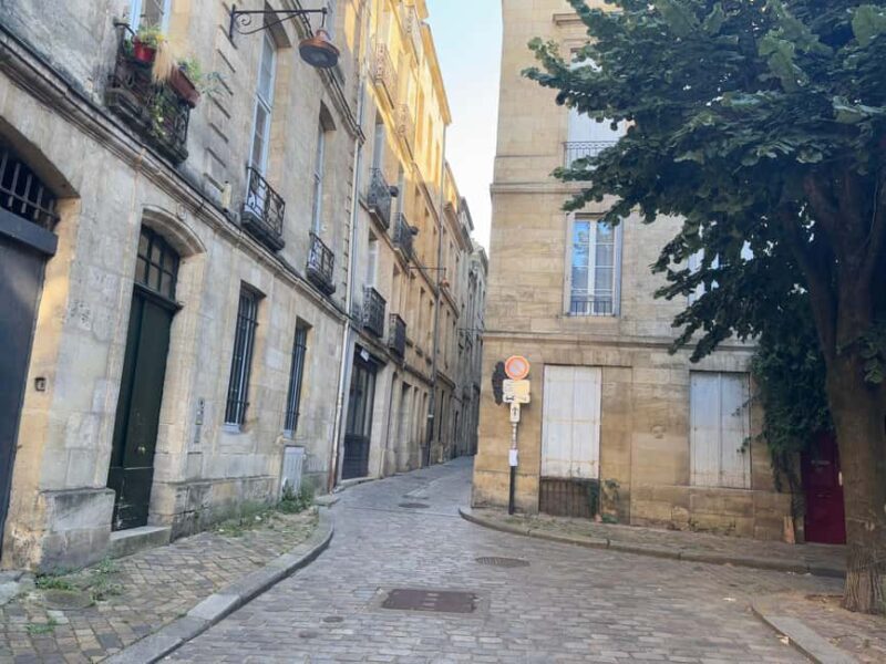 Bordeaux: Private Wine Tasting in an Elegant Home - Learning to Taste Like a Sommelier