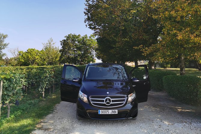 BORDEAUX region UNCORKED - Private Premium Enological Adventure - Discovering Bordeauxs Wine Secrets at La Cave Dourthe