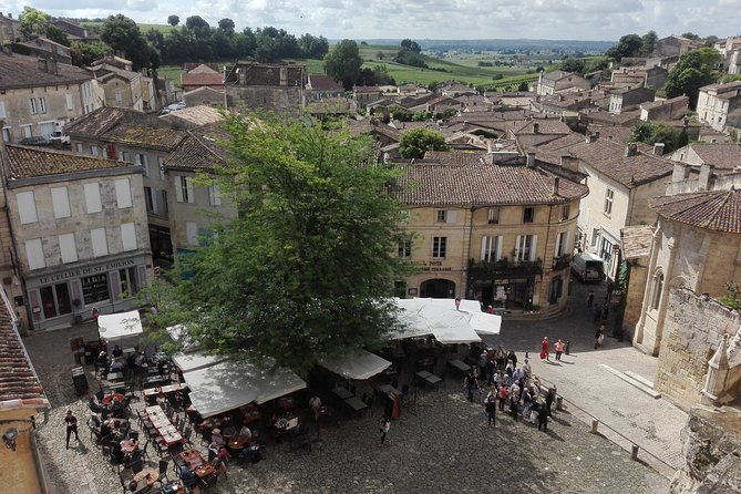 BORDEAUX region UNCORKED - Private Premium Enological Adventure - Who Should Consider This Bordeaux Tour?