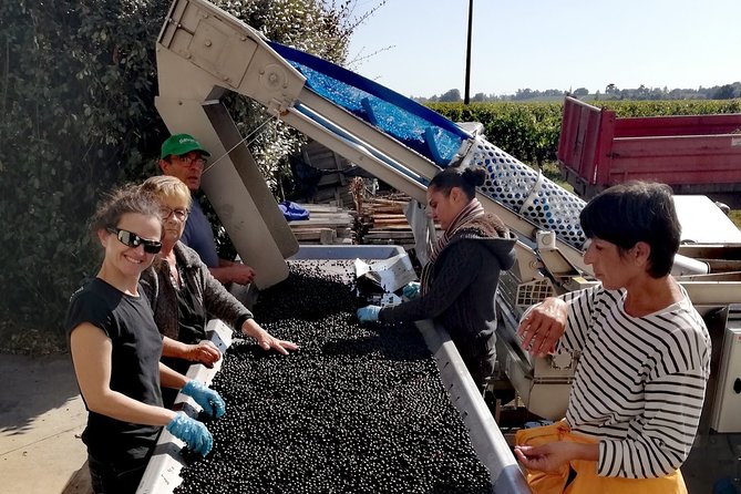 BORDEAUX region UNCORKED - Private Premium Enological Adventure - The Sum Up: A Rich Bordeaux Experience From San Sebastián