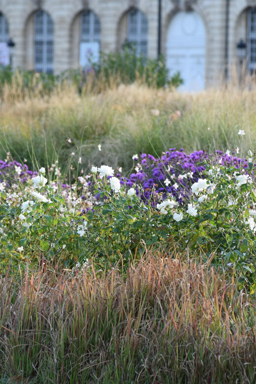 Bordeaux : see the whole city by bike - The Cycling Experience and Pacing