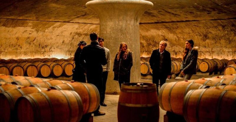 Bordeaux: St-Emilion and Medoc Wine Day Tour with Lunch - Key Points