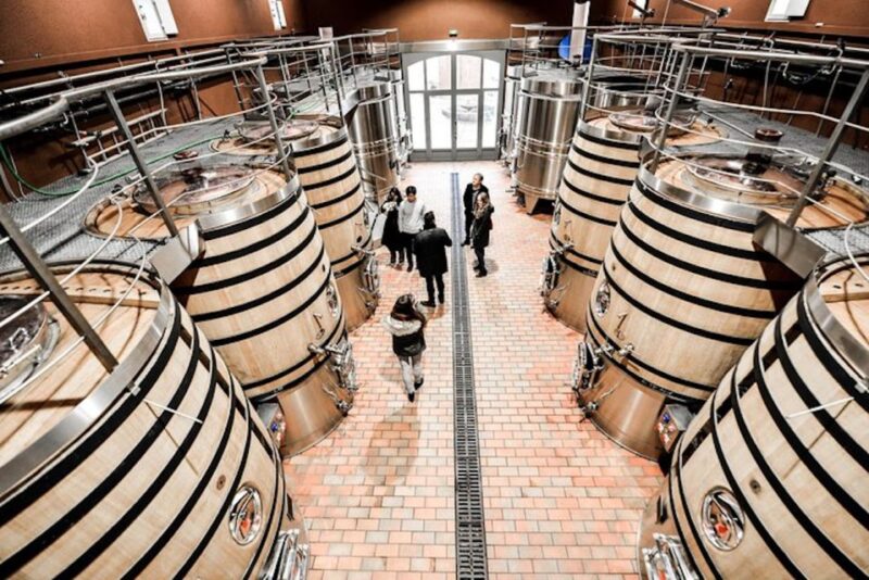 Bordeaux: St-Emilion and Medoc Wine Day Tour with Lunch - Tasting Bordeaux’s Best Wines in Saint-Emilion