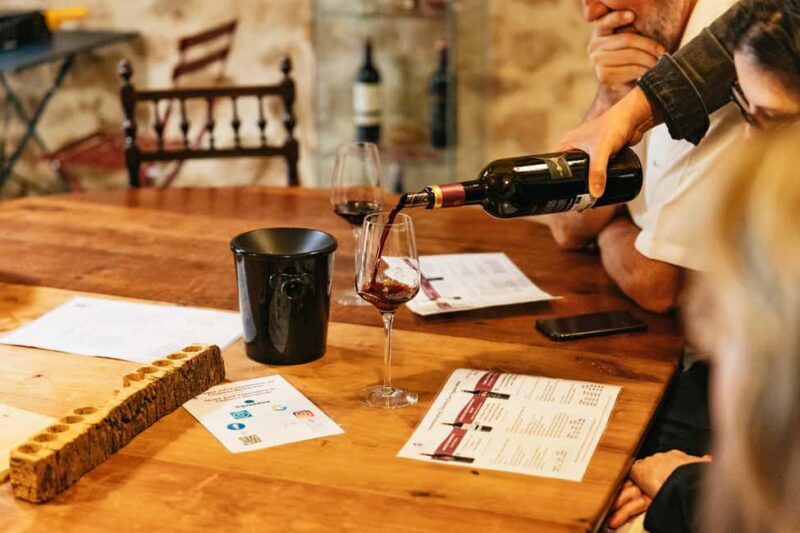 Bordeaux: St. Emilion Day Trip with Wine Tasting and Lunch - Picnic Lunch at the Château