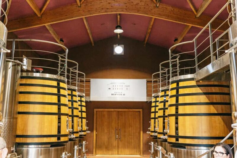 Bordeaux: St. Emilion Day Trip with Wine Tasting and Lunch - Return to Bordeaux and Tour Summary