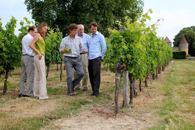 Bordeaux Super Saver Wine Tasting class and St Emilion region - The Food and Wine Highlights