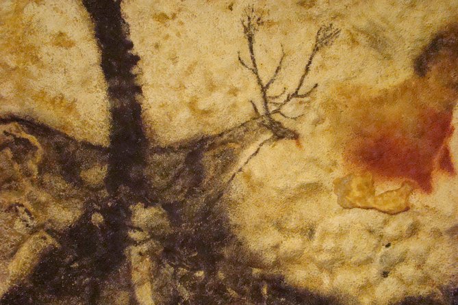 Bordeaux to Lascaux and Dordogne Valley Private Sightseeing Tour - Exploring Rouffignac Cave by Electric Train