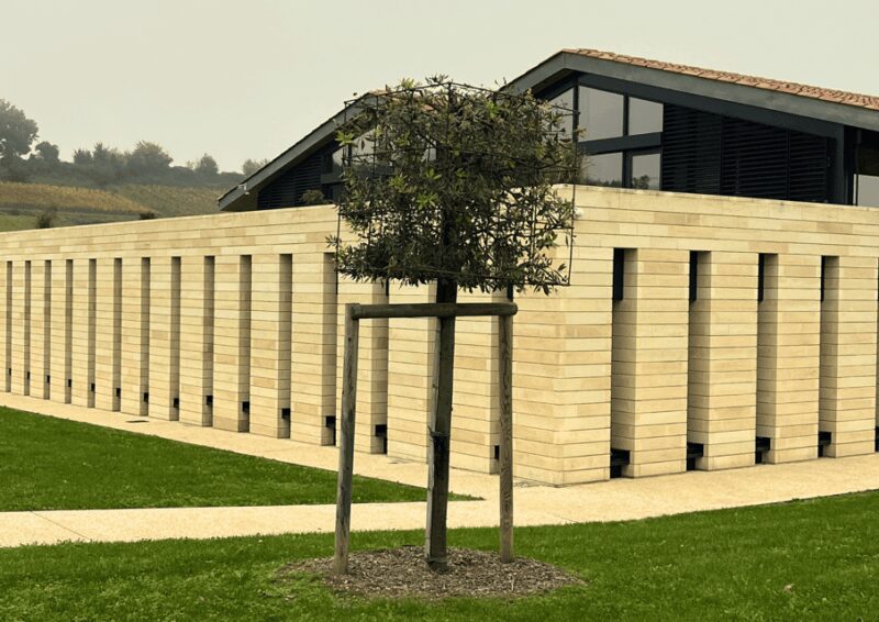 Bordeaux : Unforgettable Saint Emilion Half Day Wine Tour - The Role of the Guides and Vehicle Quality