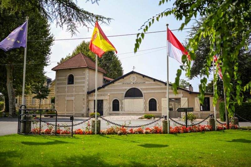 Bordeaux: Vineyards Wine Tasting Half-Day Trip - Visiting the Iconic Village of Saint-Émilion