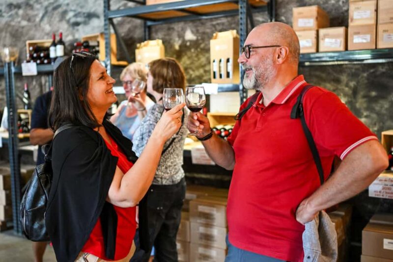 Bordeaux: Vineyards Wine Tasting Half-Day Trip - Scenic Drive with Expert Commentary