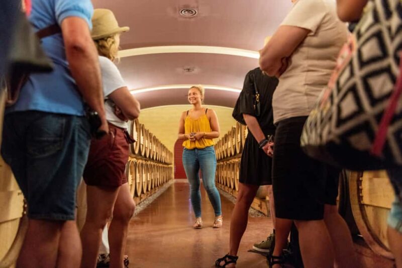 Bordeaux: Vineyards Wine Tasting Half-Day Trip - Practical Details: Meeting Point, Group Size, and Accessibility